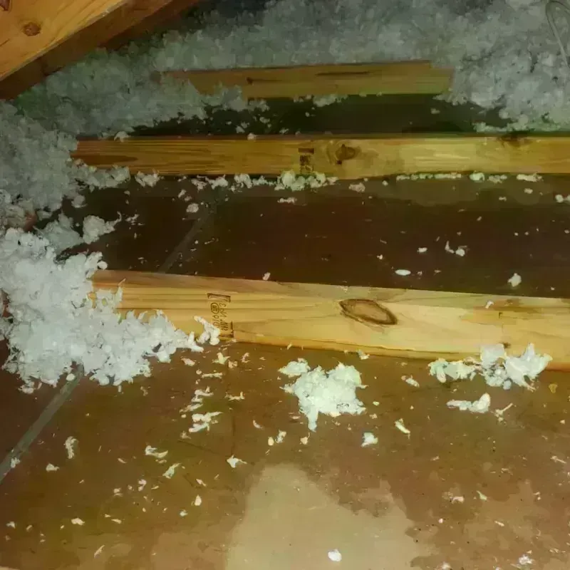 Attic Water Damage in Spencer County, IN