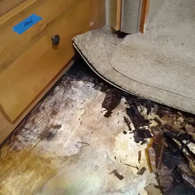 Best Wood Floor Water Damage Service in Spencer County, IN